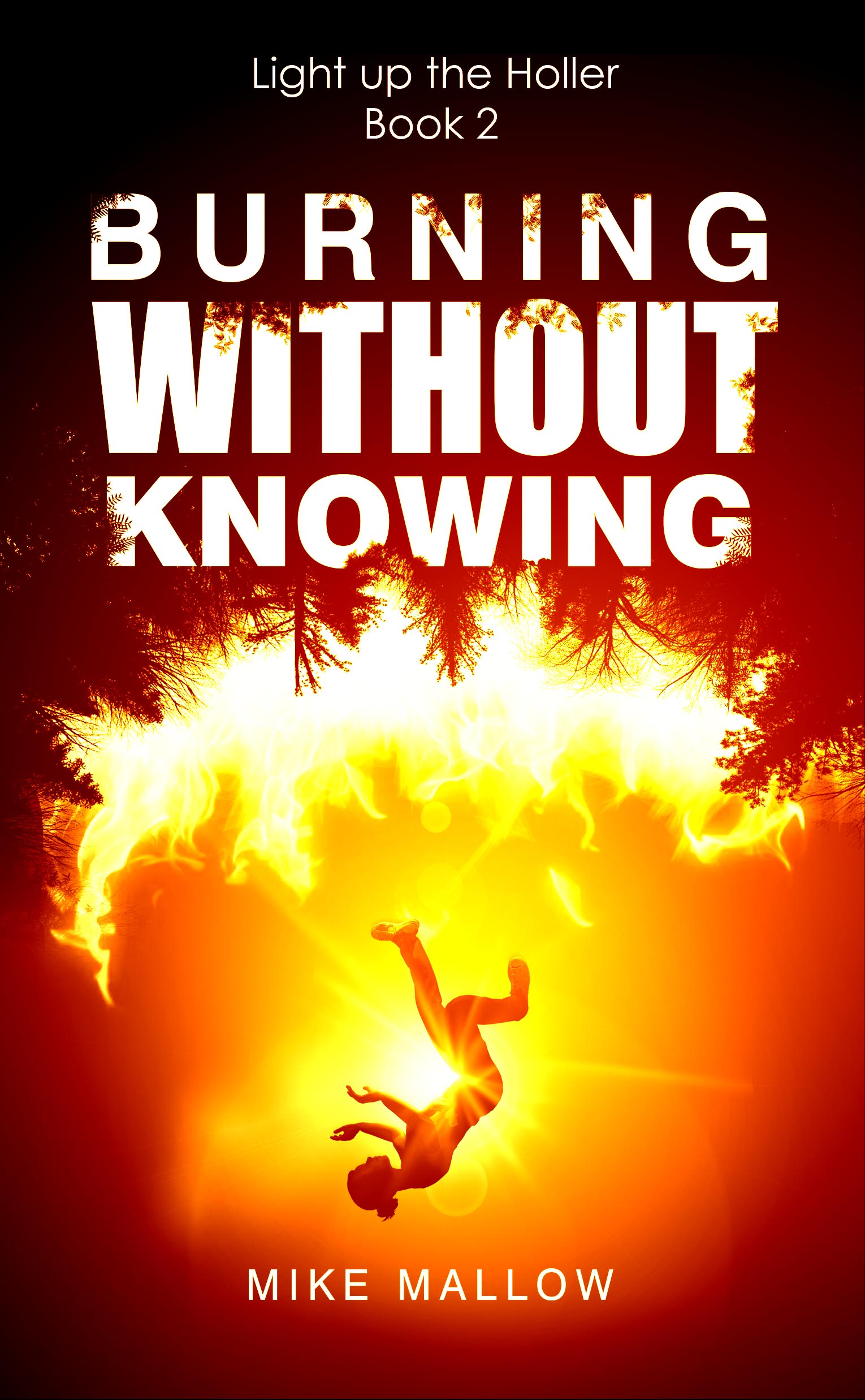 book cover for Burning Without Knowing